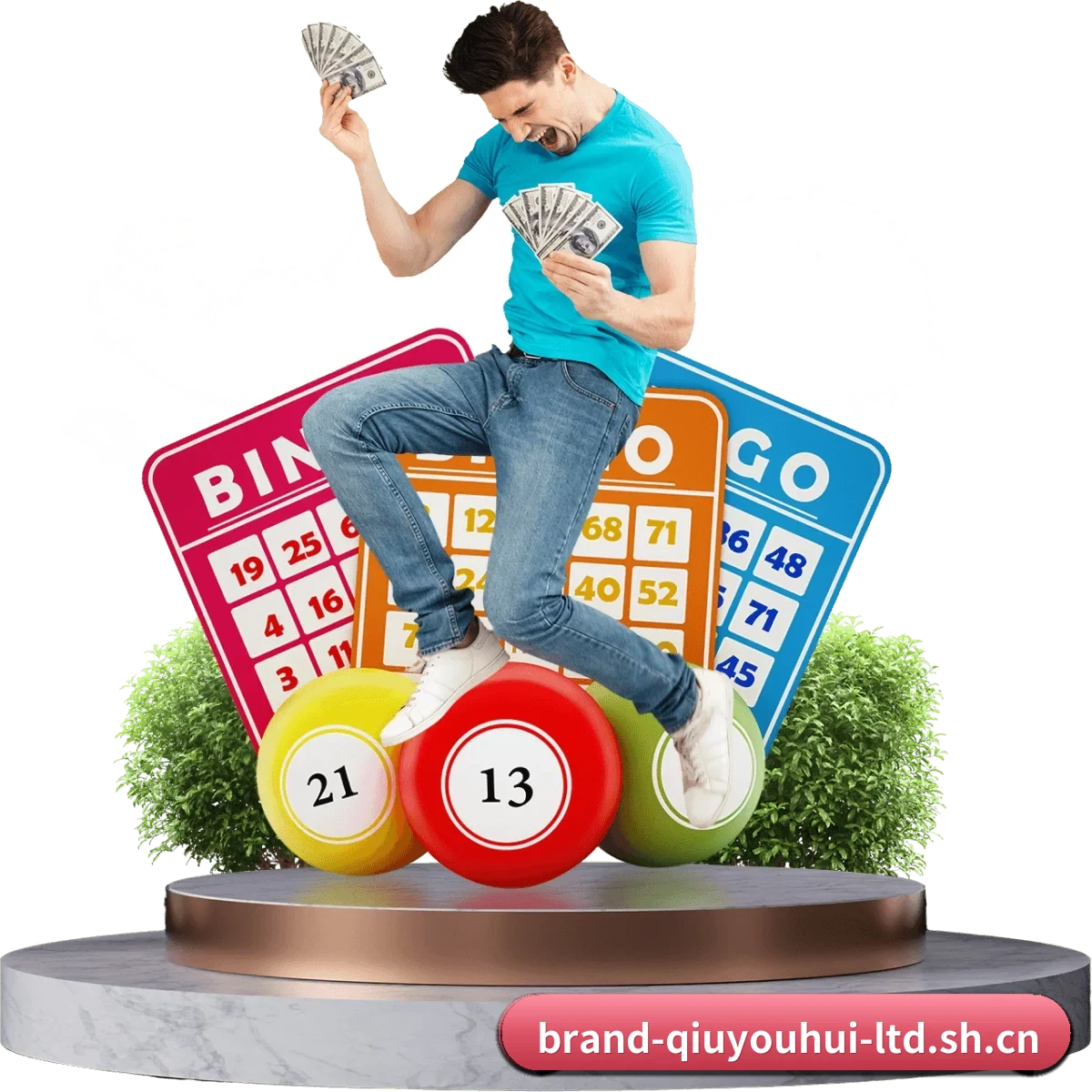 品牌影响力跃升